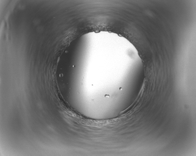 X0000056030037200509092217