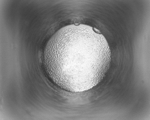 X0000056030038200509092217