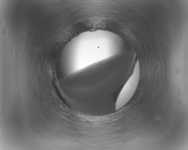 X0000056030039200509092217