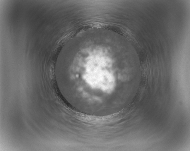 X0000056030043200509092217