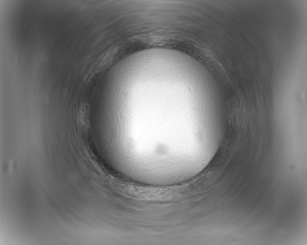 X0000056030044200509092216