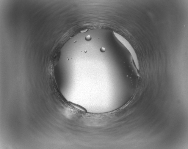 X0000056030045200509092216