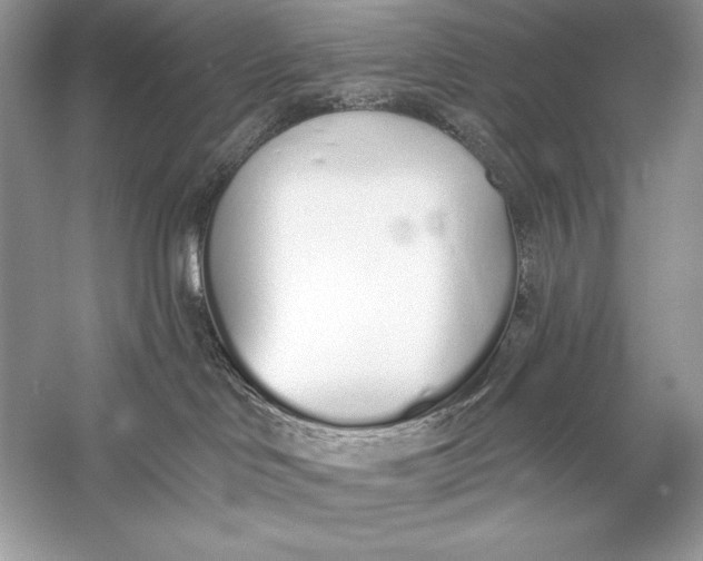 X0000056030046200509092216