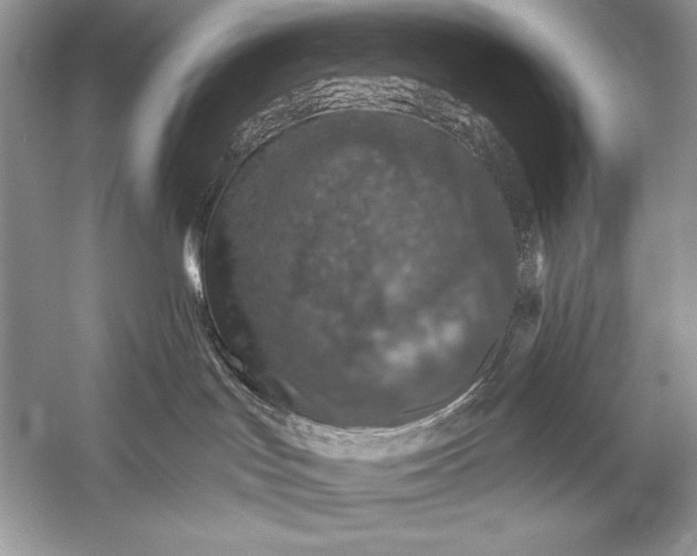 X0000056030047200509092216