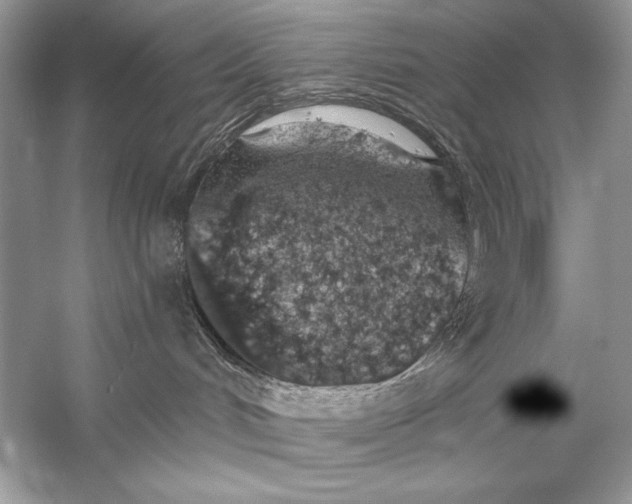 X0000056030048200509092216