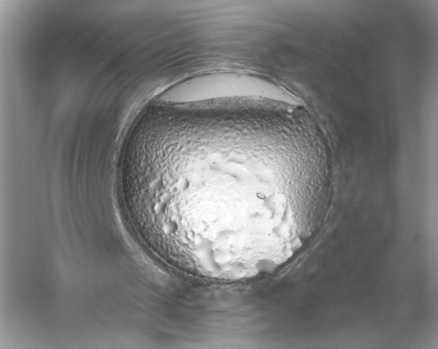 X0000056030049200509092216