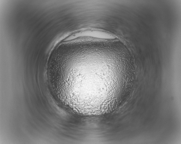 X0000056030050200509092216