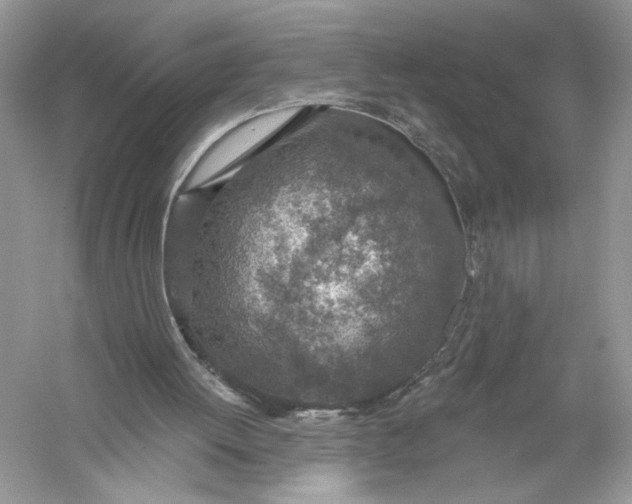 X0000056030052200509092216