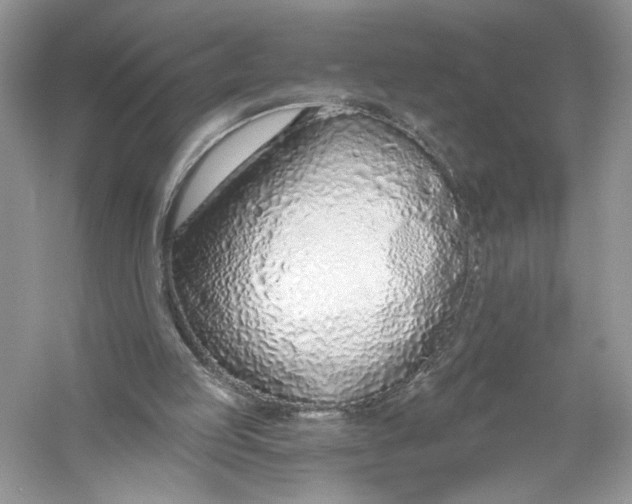 X0000056030053200509092216