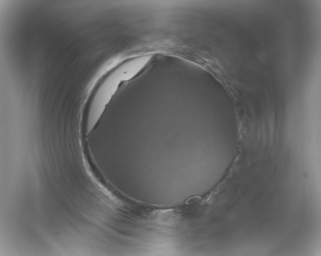 X0000056030054200509092216