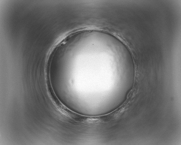 X0000056030055200509092216