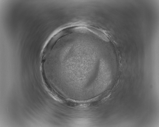 X0000056030056200509092216