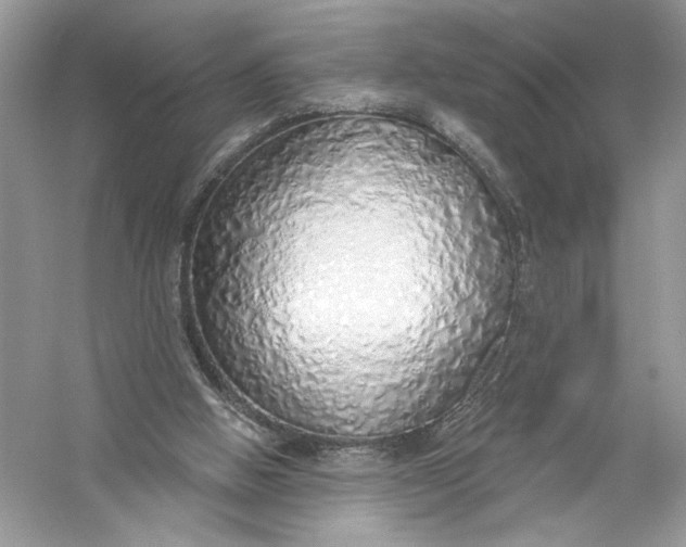 X0000056030058200509092216