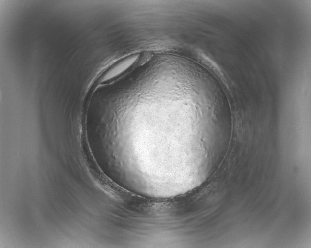 X0000056030059200509092216