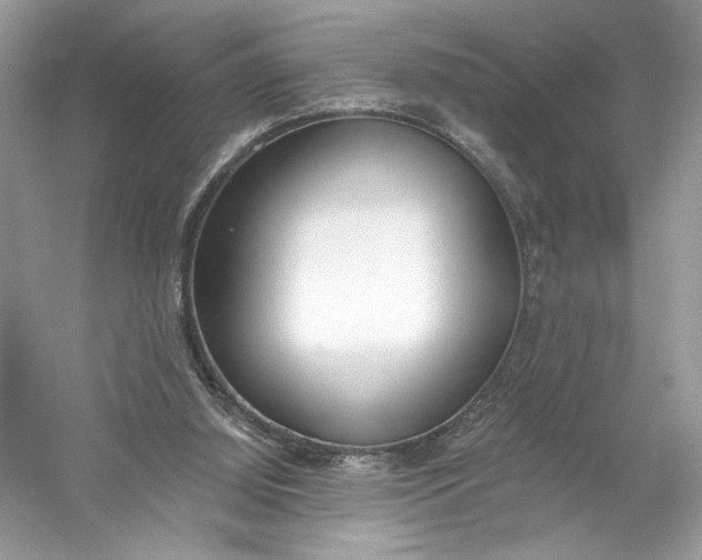 X0000056030060200509092216