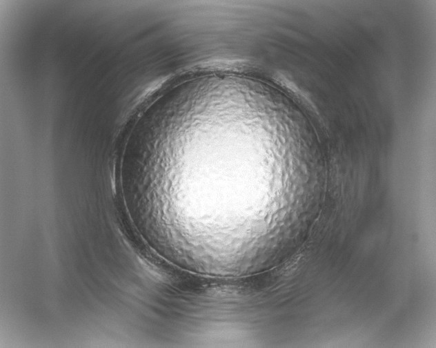 X0000056030062200509092216