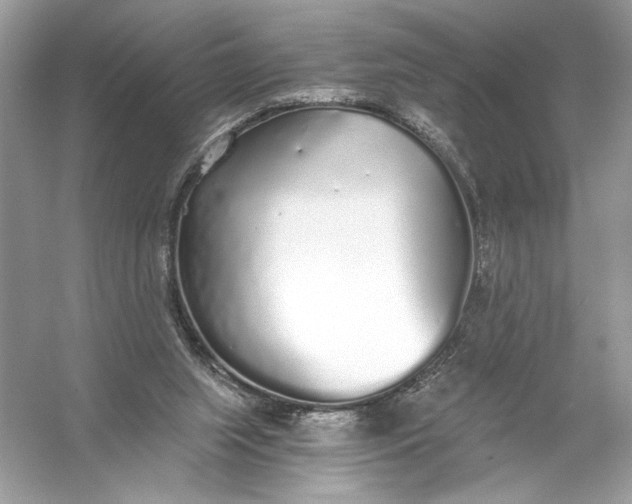 X0000056030063200509092216