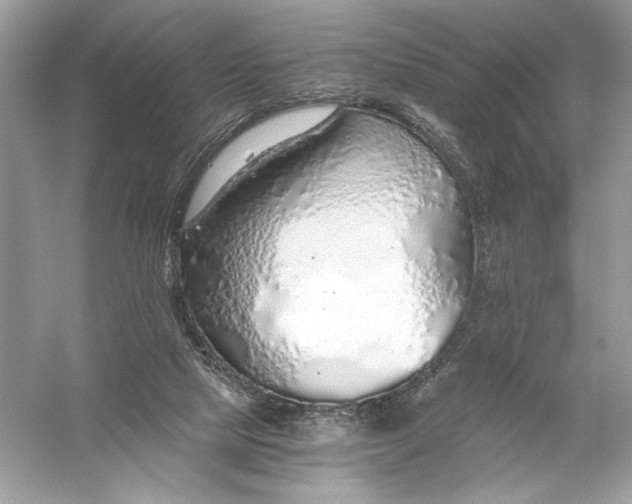 X0000056030065200509092216