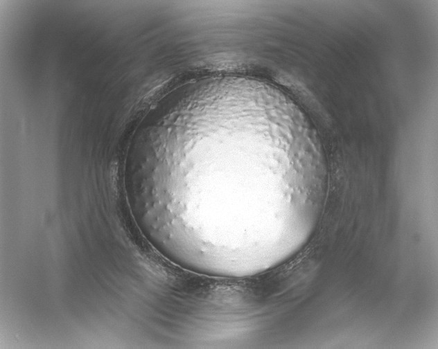 X0000056030066200509092216