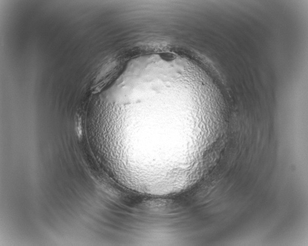 X0000056030069200509092216