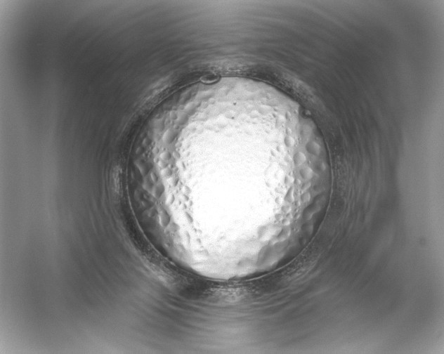 X0000056030071200509092216