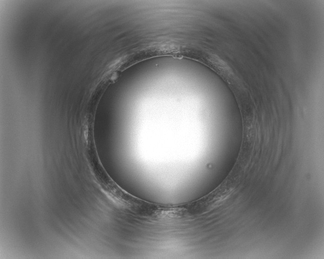 X0000056030072200509092216