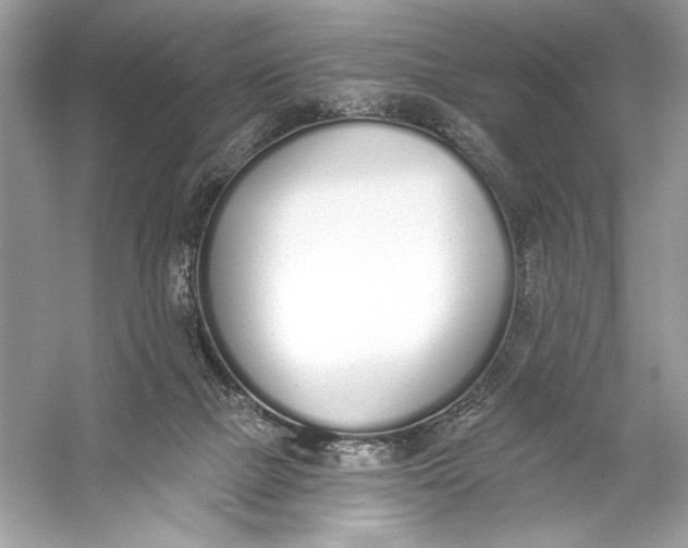 X0000056030073200509092216