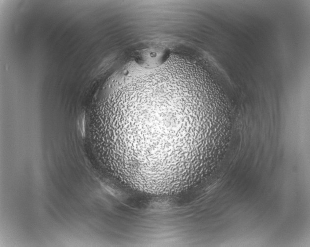 X0000056030076200509092216