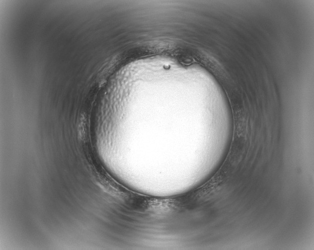 X0000056030077200509092216