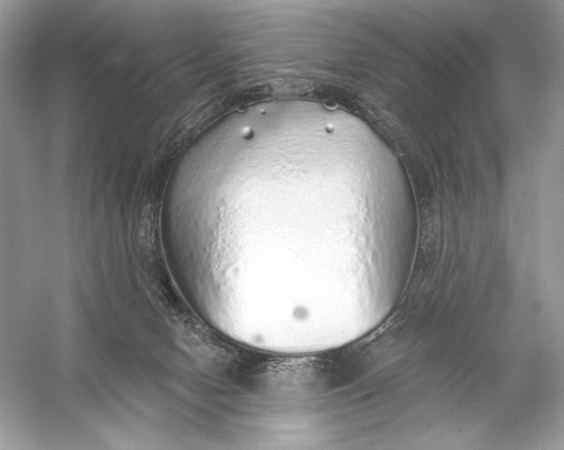 X0000056030078200509092216