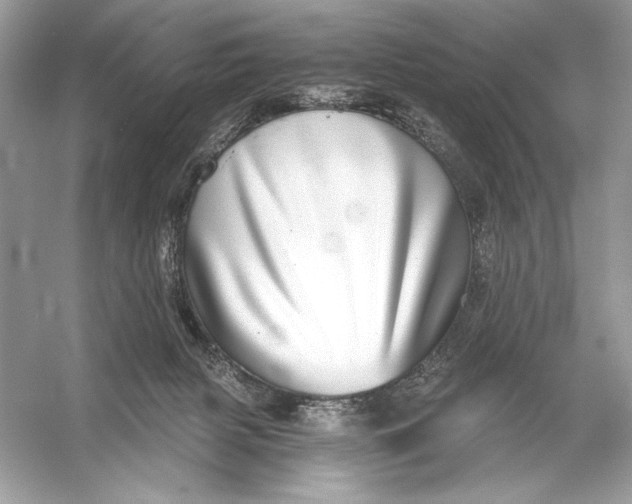 X0000056030079200509092216