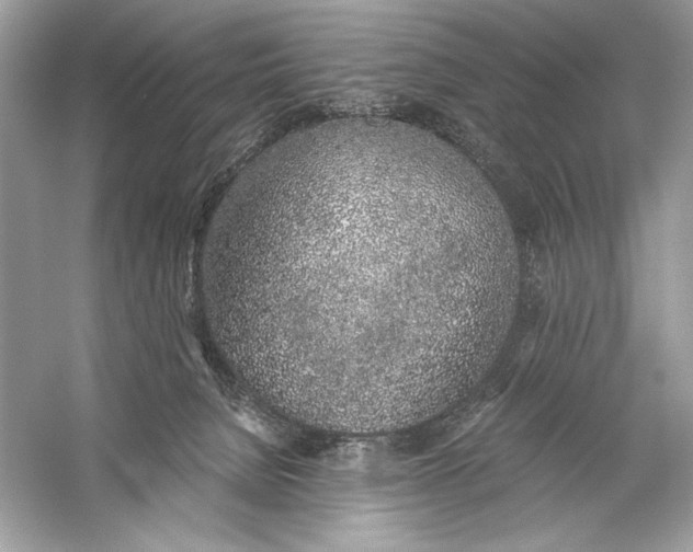 X0000056030080200509092216