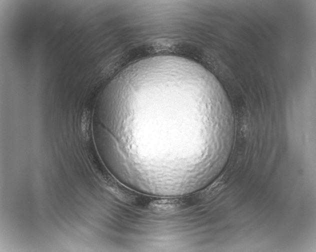 X0000056030082200509092216