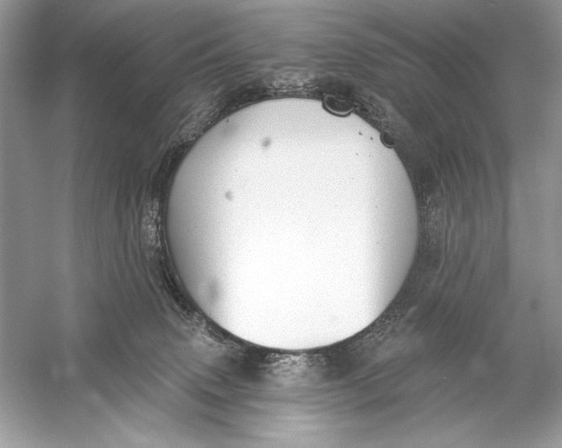 X0000056030083200509092216