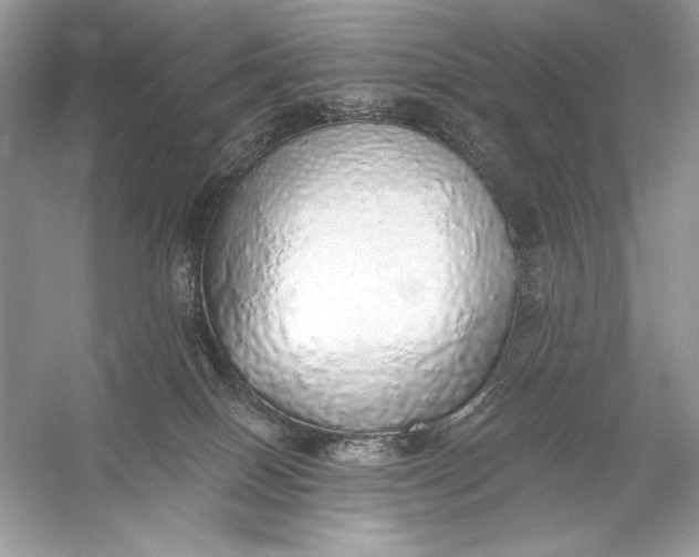 X0000056030086200509092216