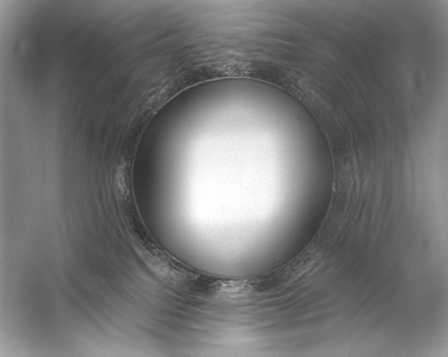 X0000056030088200509092216