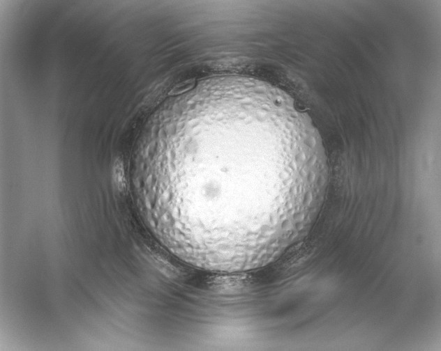 X0000056030089200509092216