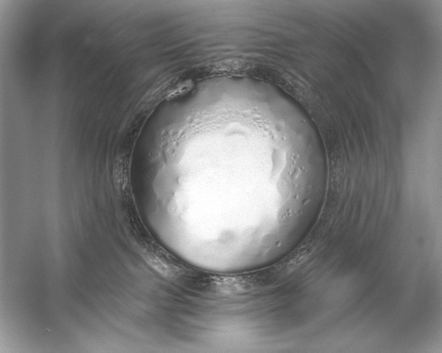 X0000056030091200509092216