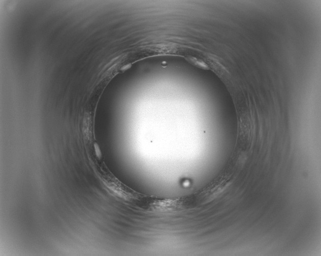 X0000056030092200509092216