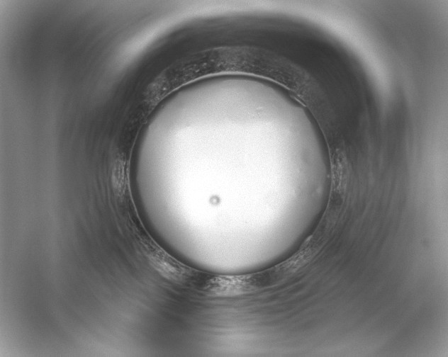 X0000056030093200509092216