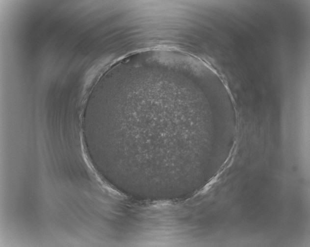 X0000056030097200509092216