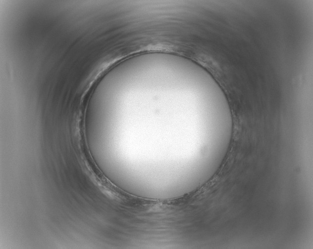 X0000056030098200509092216