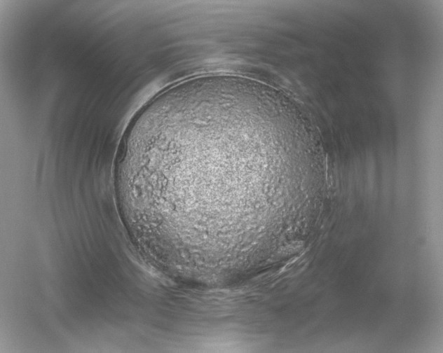 X0000056030099200509092216