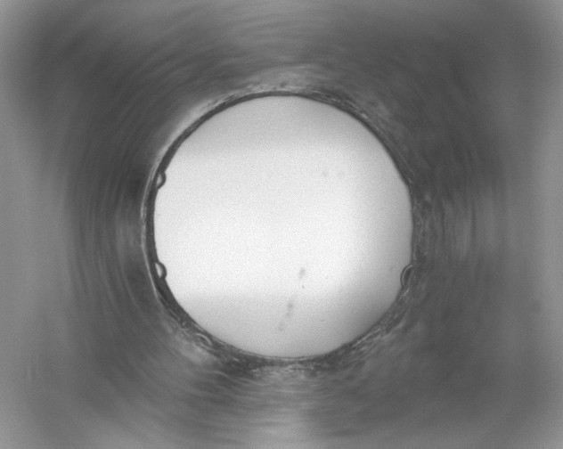 X0000056030100200509092216