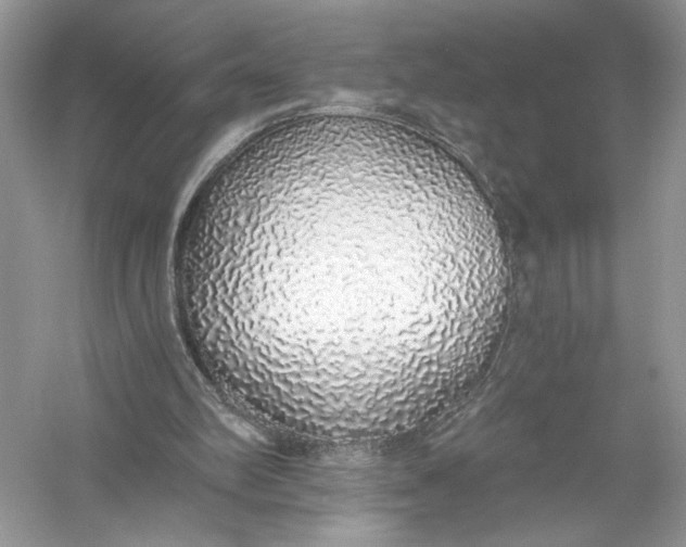 X0000056030102200509092215