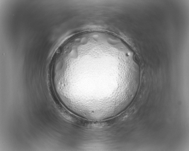 X0000056030103200509092215