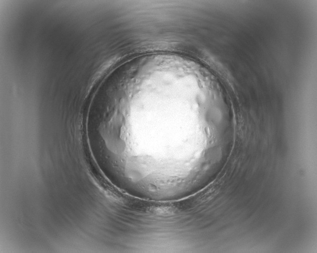 X0000056030107200509092215