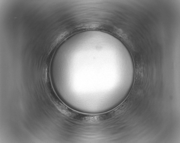 X0000056030110200509092215