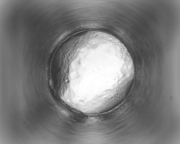 X0000056030111200509092215