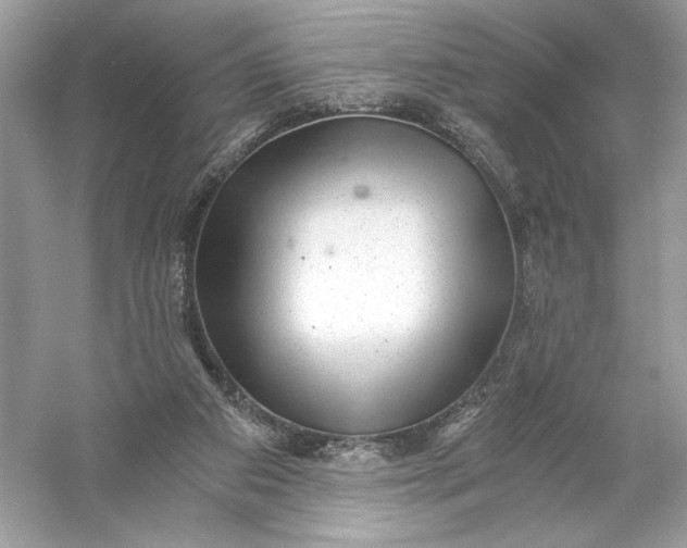 X0000056030113200509092215